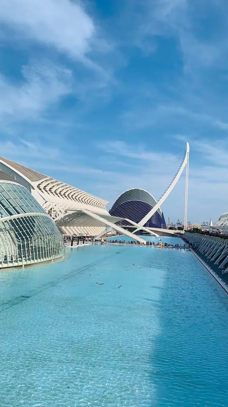 开云-清晨葡萄牙体育状态回暖瓦伦西亚造点机会，浙江稠州赛前战术微调看傻球迷